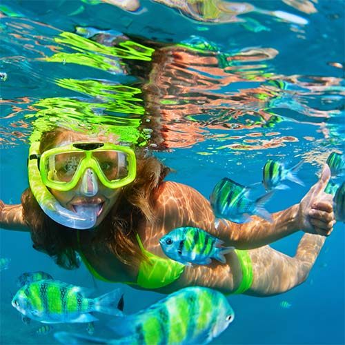 Snorkeler with fish